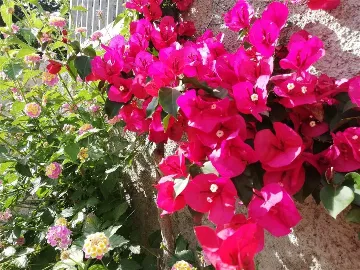 Air-conditioned 1-Bedroom Apartment for 2 in Dubrovnik