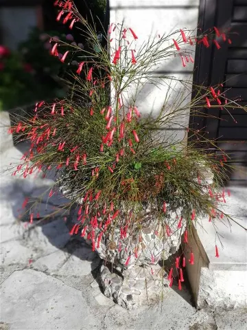 Air-conditioned 1-Bedroom Apartment for 2 in Dubrovnik