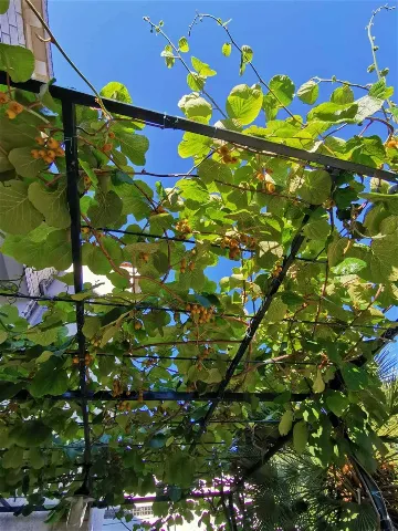 Air-conditioned 1-Bedroom Apartment for 2 in Dubrovnik