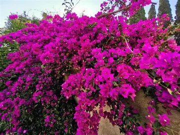 Air-conditioned 1-Bedroom Apartment for 2 in Dubrovnik