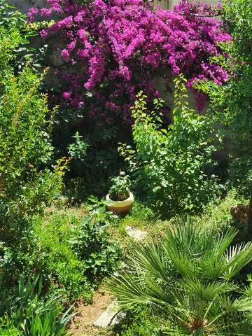 Air-conditioned 1-Bedroom Apartment for 2 in Dubrovnik