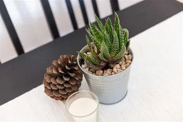 Dubrovnik One-Bedroom Apartment for 4