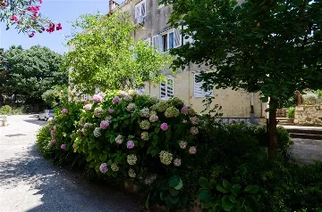 Dubrovnik One-Bedroom Apartment for 4