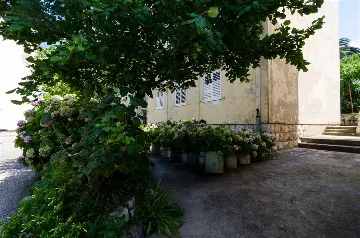 Dubrovnik One-Bedroom Apartment for 4