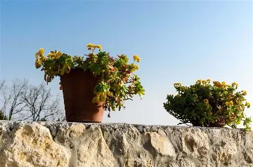 3-Bedroom Apartment in Zaton, Croatia (Up to 6)