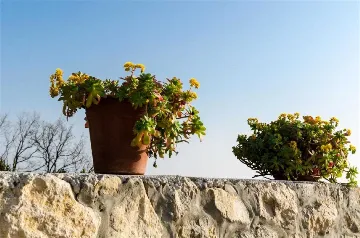 3-Bedroom Apartment in Zaton, Croatia (Up to 6)