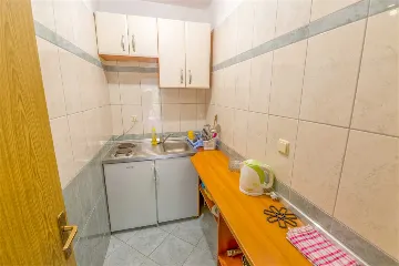 Double or Twin Room with Terrace in Mljet