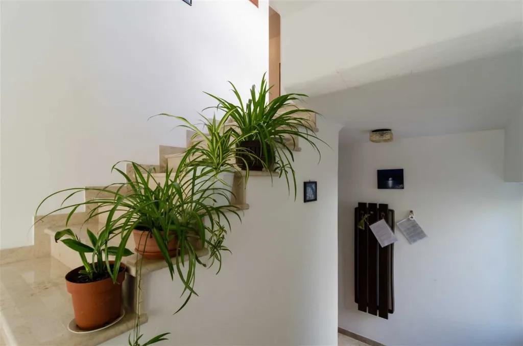 Sea-View Balcony Room in Mljet for 2 Guests