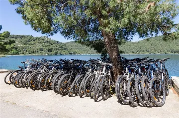 Two-Bedroom Apartment with Sea View, Mljet