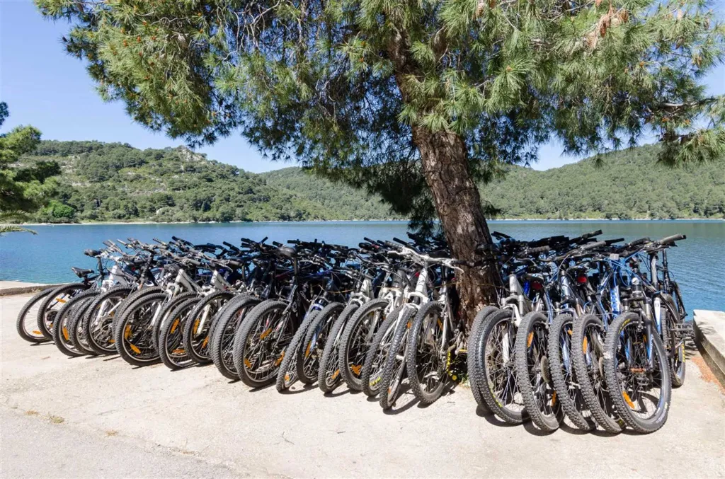 Two-Bedroom Apartment in Mljet with Sea-View Balcony
