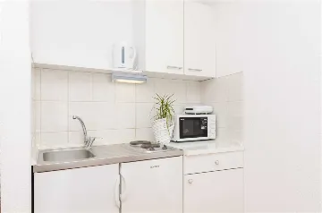 Mljet One-Bedroom Apartment with Sea View Terrace