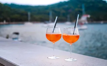 Apartment in Mljet for Up to 4 Guests with Terrace