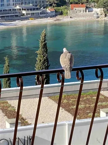 Dubrovnik 2-Bedroom Apartment with Sea View Terrace