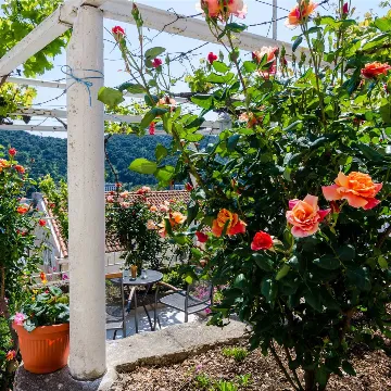 Dubrovnik Studio Apartment for 2 Guests