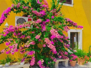 Triple Room in Trsteno with Private External Bathroom