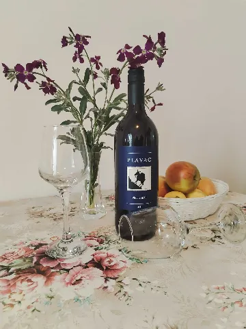 1-Bedroom Apartment in Polače with Sea-View Balcony