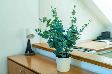 Dubrovnik Duplex Apartment for Up to 5 Guests