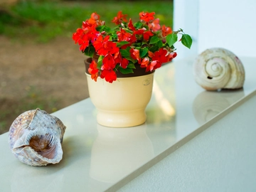 Apartment in Dubrovnik for 3 Guests