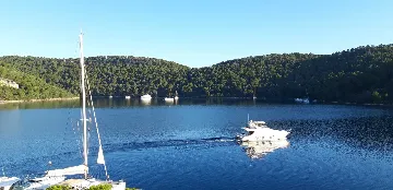 Apartment for 2 Guests with Sea View in Polače