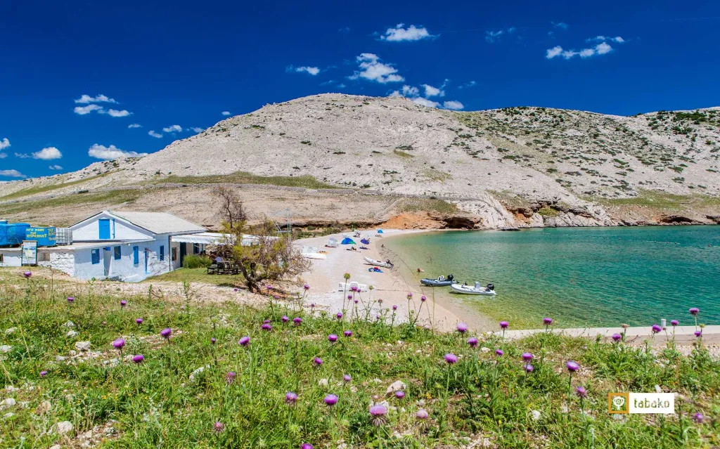 Baška One-Bedroom Stay for 1 Guest