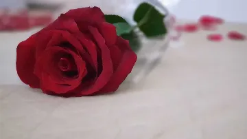 Double Room in Daruvar for 2 Guests