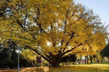 Room for 2 Guests in Daruvar