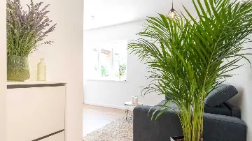 One-Bedroom Apartment with Terrace in Dubrovnik