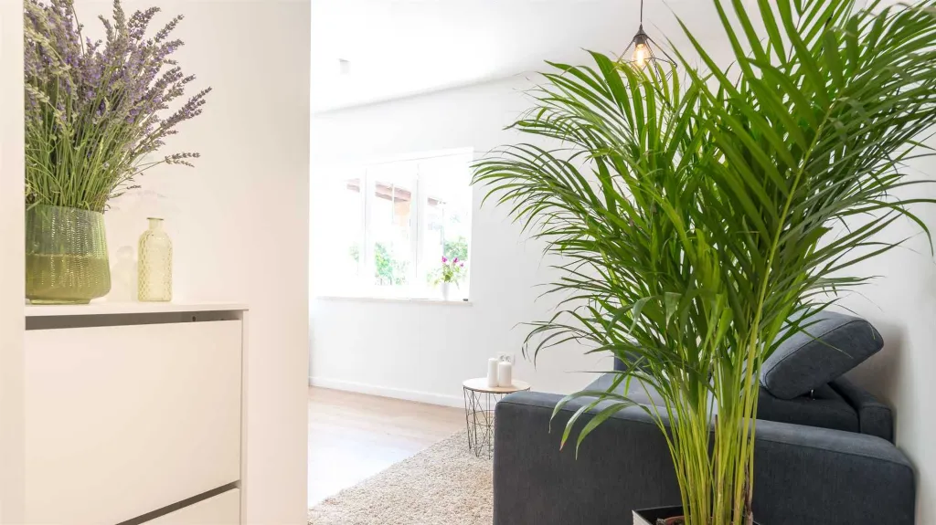 One-Bedroom Apartment with Terrace in Dubrovnik