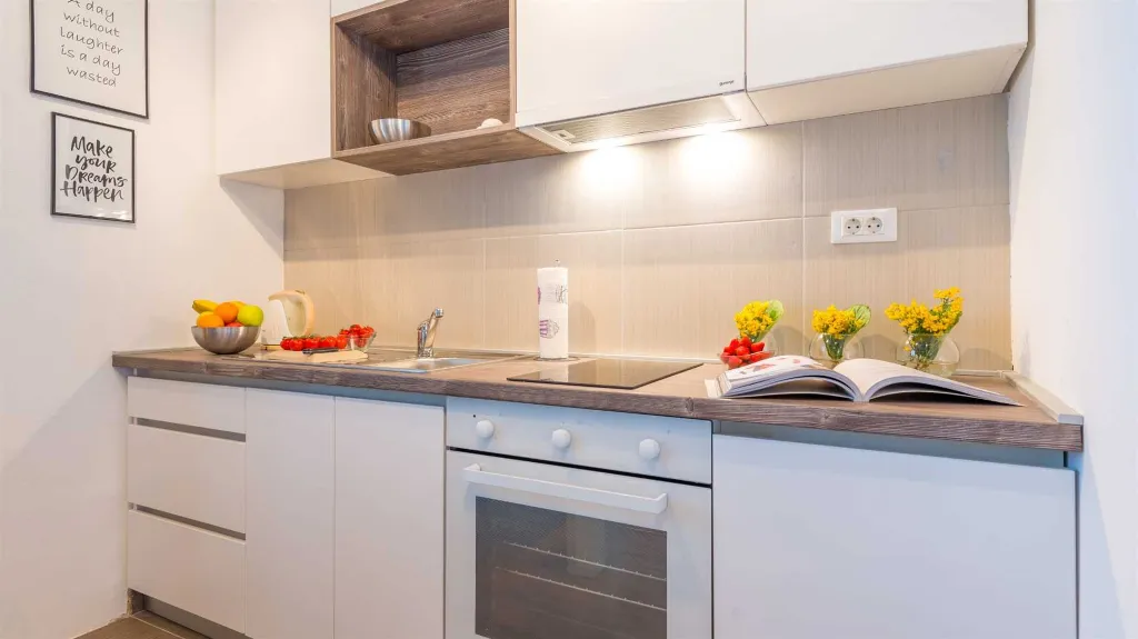 Studio Apartment with Sea View and Terrace in Dubrovnik