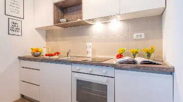 Studio Apartment with Sea View and Terrace in Dubrovnik