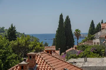 Two-Bedroom Apartment with Terrace (4 Guests)