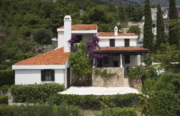 Family Villa with Private Pool in Baška Voda