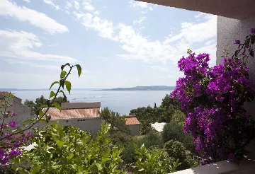 Family Villa with Private Pool in Baška Voda