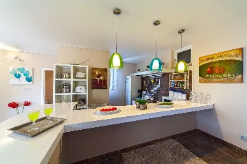 Family Villa with Private Pool in Baška Voda