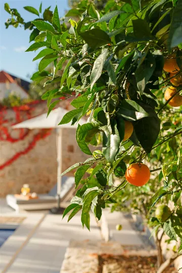 4-Bedroom Villa with Private Pool in Dubrovnik