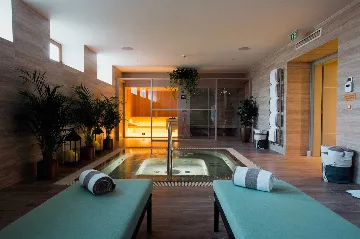 Villa in Orebic with Private Pool and Sea Views