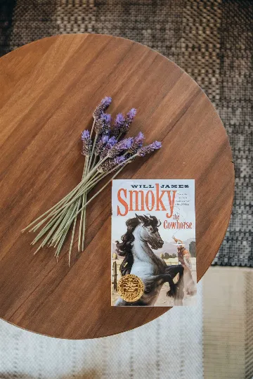 Stari Grad 4-Bedroom Villa for Up to 8 Guests