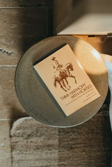 Villa in Stari Grad with Private Heated Infinity Pool