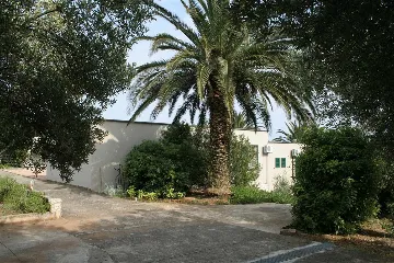 Villa for 16 Guests in Orebic with Sea Views