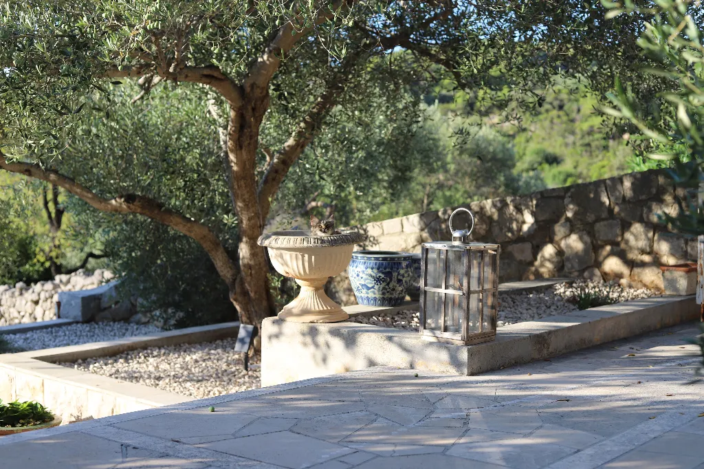3-Bedroom Villa in Selca, Brač for 6 Guests