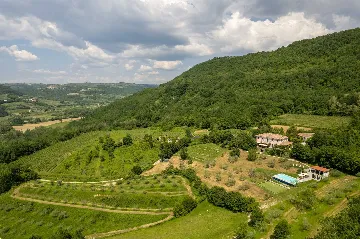 Istrian Countryside Villa in Buje (Up to 12 Guests)