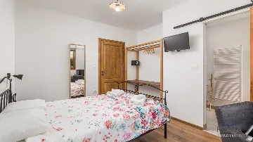 Buzet Apartment Room for 2 Guests with Balcony