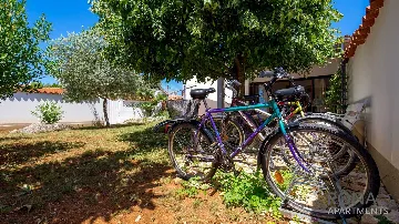 One-Bedroom Apartment with Terrace in Barbariga