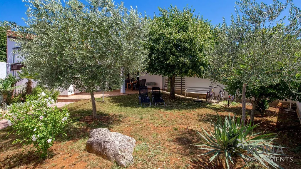 One-Bedroom Apartment with Terrace in Barbariga
