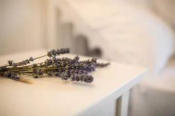 Stone Villa with Private Pool in Klimno (Krk)