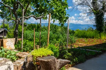 Hlapa (Krk) Apartment for Up to 5 Guests