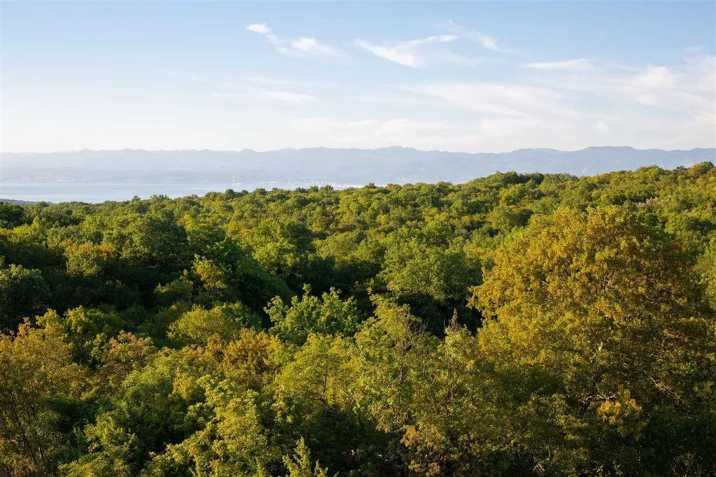 Poljica (Krk) Villa with Private Pool & Sea View