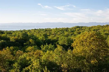 Poljica (Krk) Villa with Private Pool & Sea View