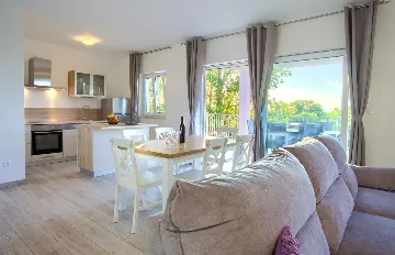 Poljica (Krk) Villa with Private Pool & Sea View