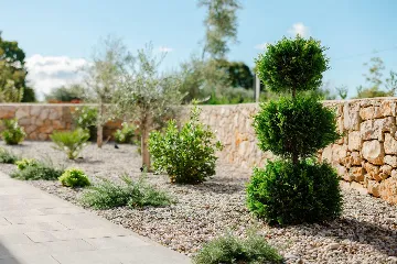 Modern Villa in Kras (Krk) for Up to 8 Guests